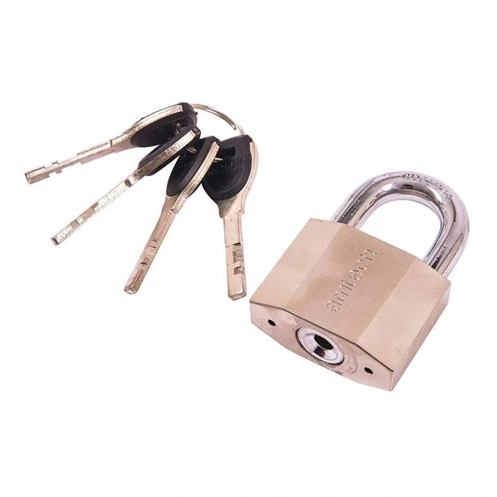 50mm Security padlock