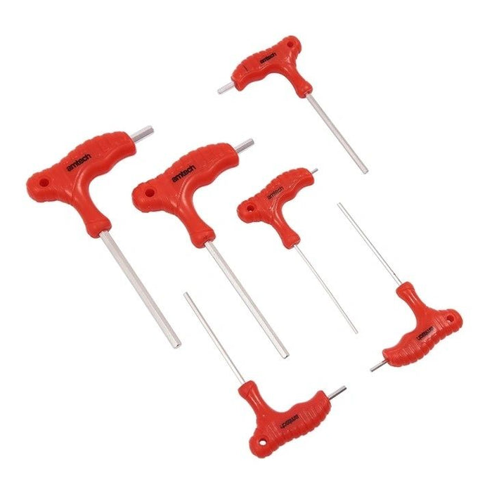 6 Piece T-handle hex key set